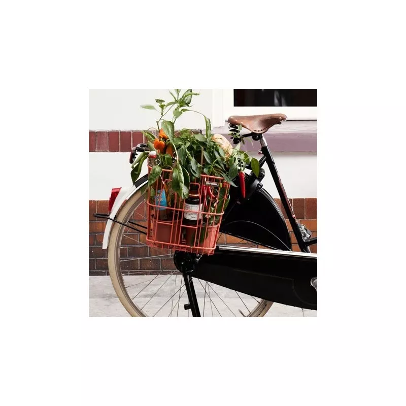 Memories Bottle - BASIL - Panier Arrière Amovible 4 Memories Bottle - BASIL - Panier Arrière Amovible – Image 2